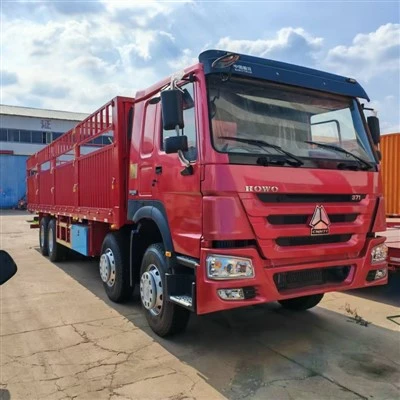 Sinotruk HOWO 8x4 Cargo Truck